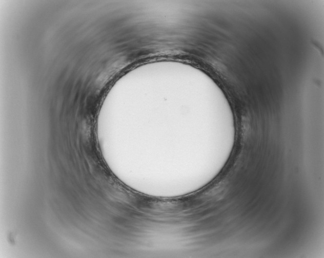 X0000102301257200808152009
