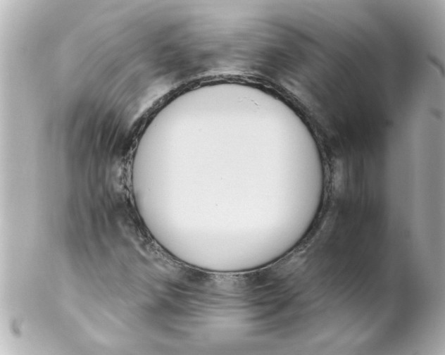 X0000102301258200808152009