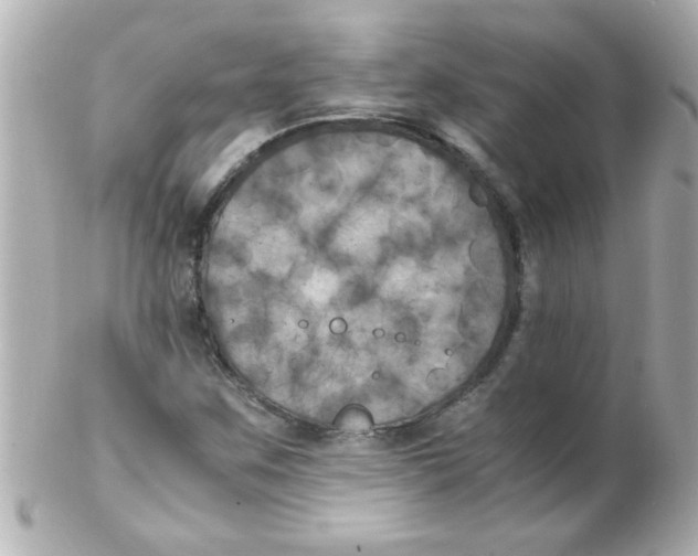 X0000102301259200808152009