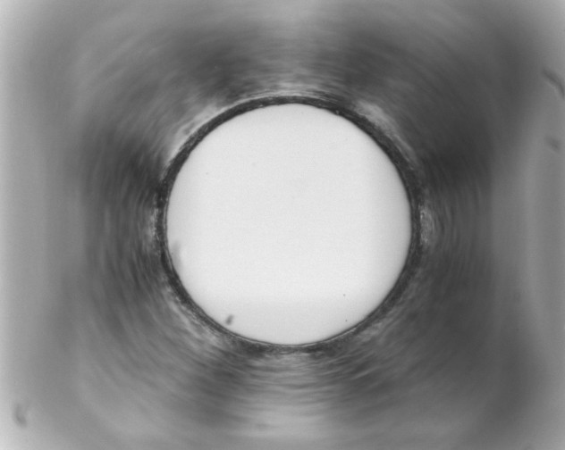 X0000102301260200808152009