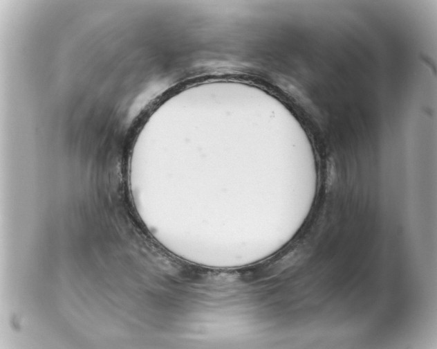 X0000102301261200808152009