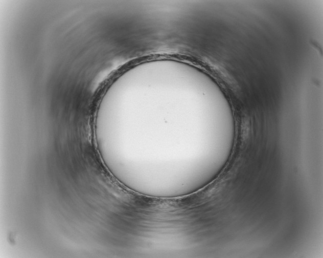 X0000102301262200808152009