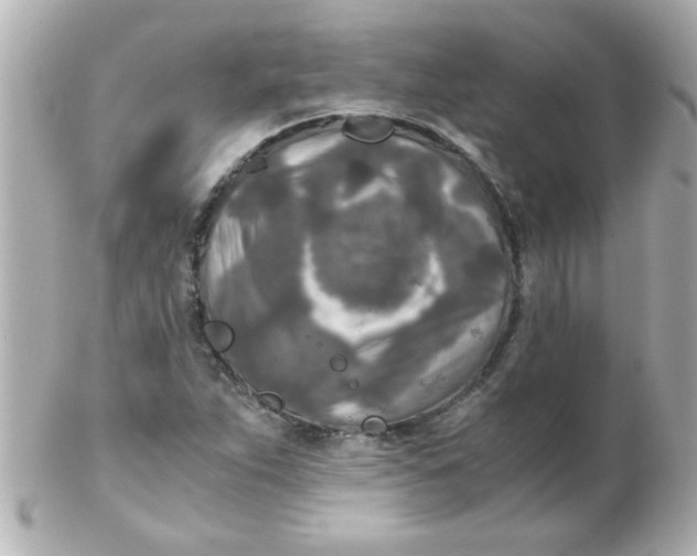 X0000102301263200808152009
