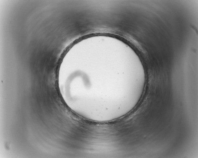 X0000102301264200808152009