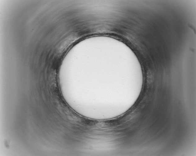 X0000102301265200808152009