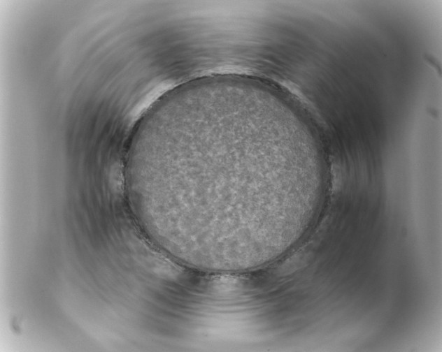 X0000102301266200808152009