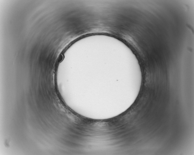 X0000102301268200808152009
