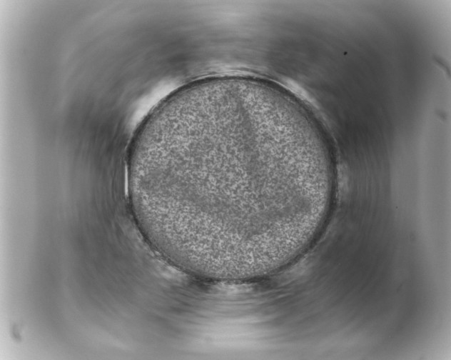 X0000102301269200808152009