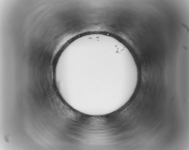 X0000102301270200808152009
