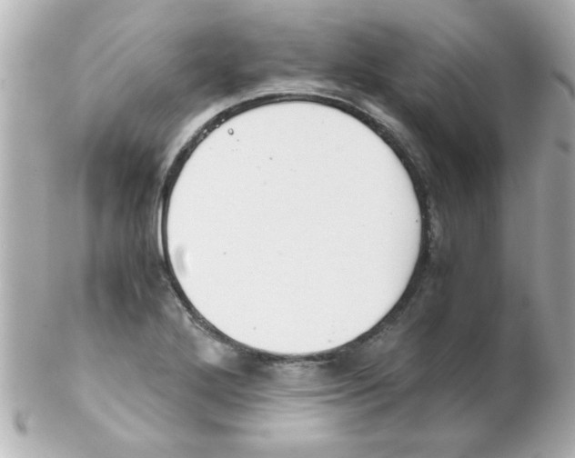 X0000102301272200808152009