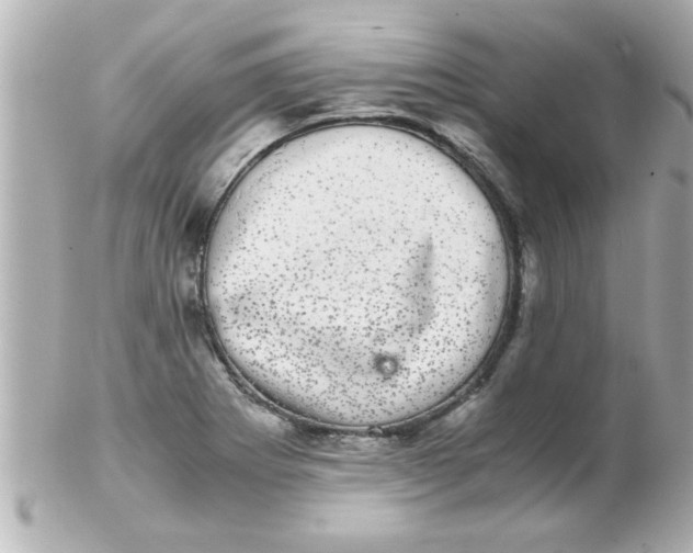 X0000102301273200808152009