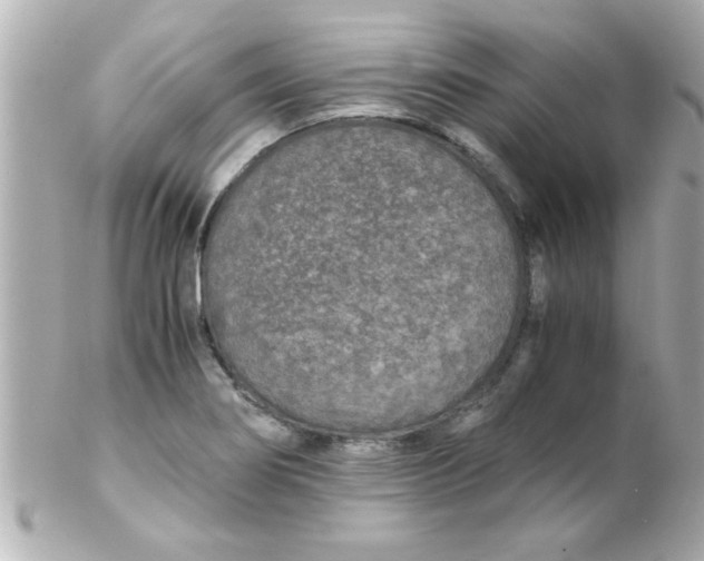 X0000102301274200808152009