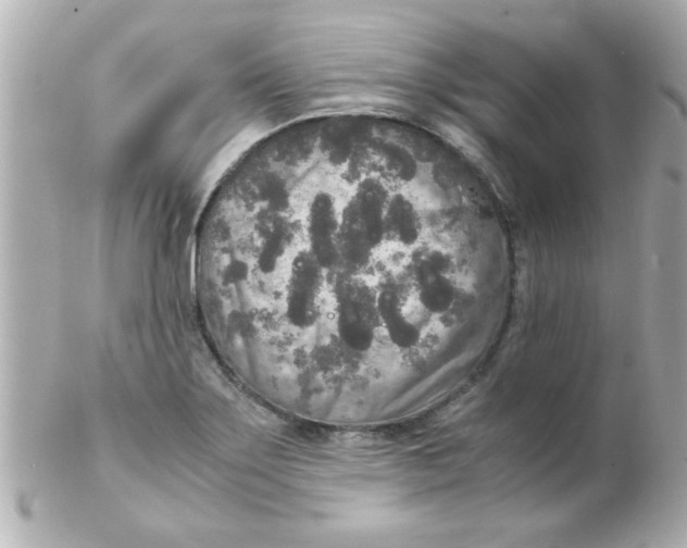X0000102301275200808152009