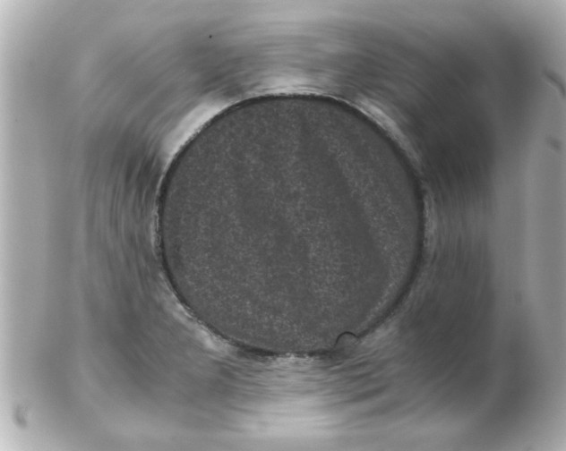 X0000102301277200808152009