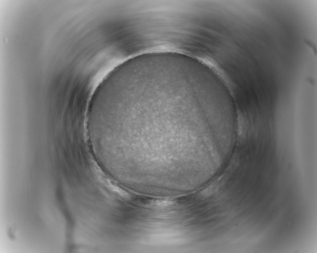 X0000102301278200808152009