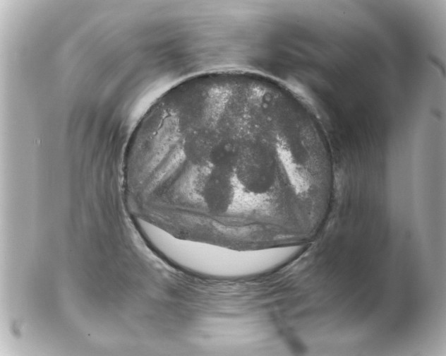 X0000102301279200808152009
