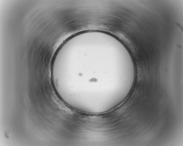 X0000102301280200808152009