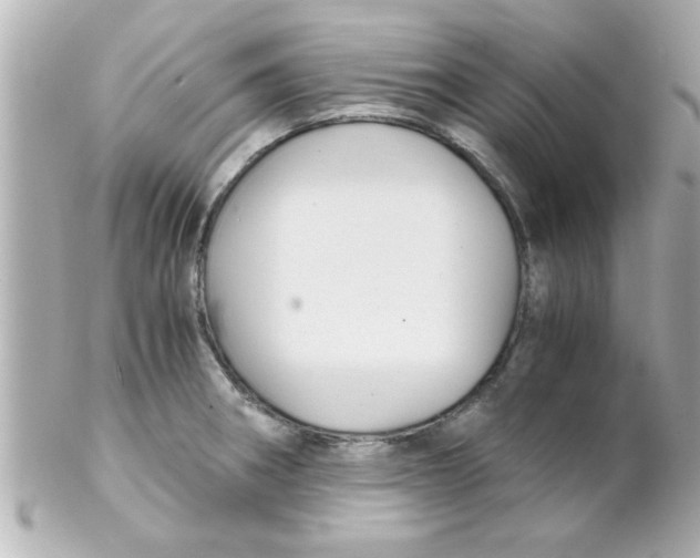 X0000102301282200808152009