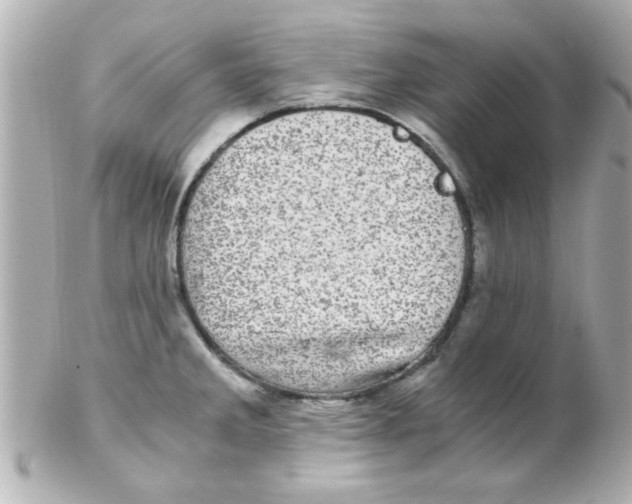 X0000102301285200808152009