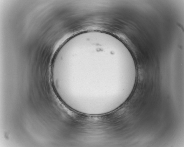 X0000102301286200808152009