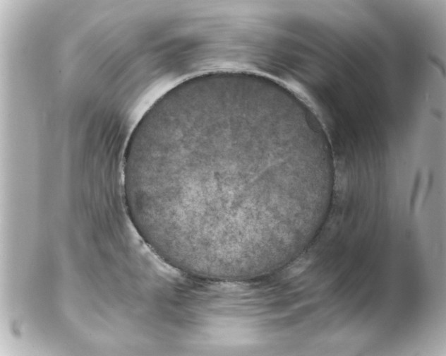 X0000102301287200808152009