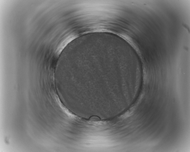 X0000102301289200808152009