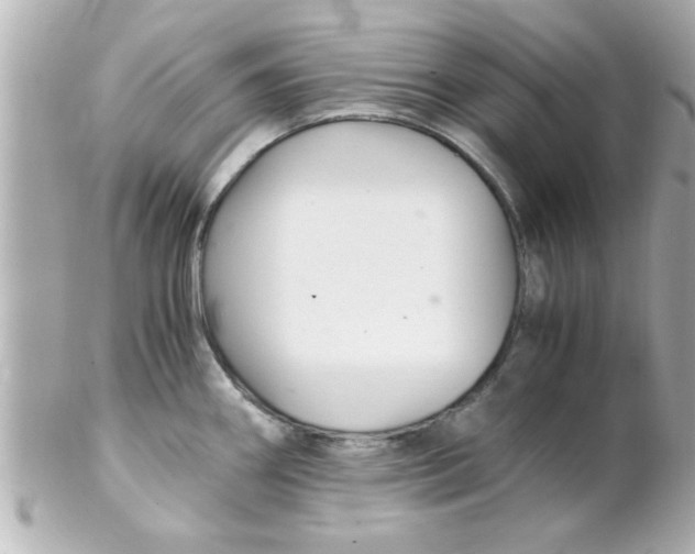 X0000102301290200808152009