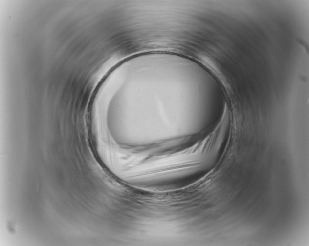 X0000102301291200808152009