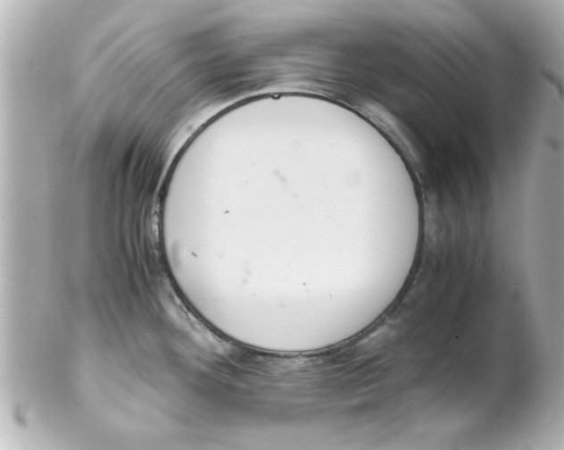 X0000102301292200808152009