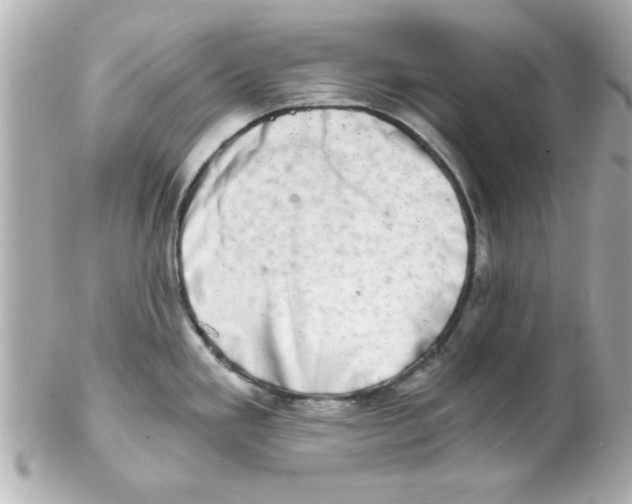X0000102301293200808152009