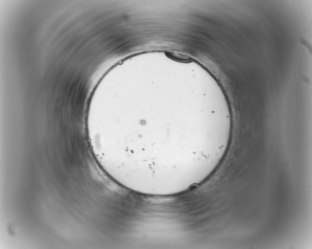 X0000102301296200808152009