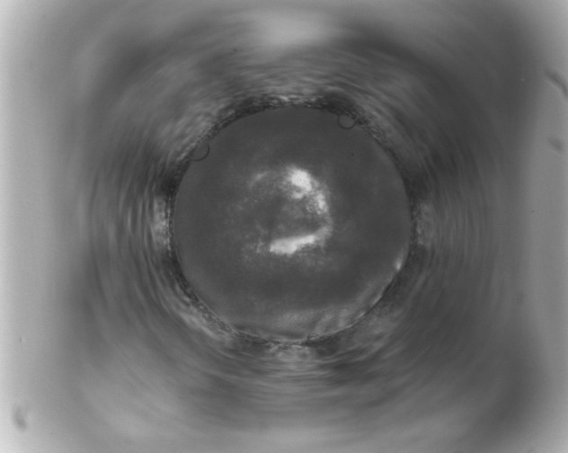 X0000102301298200808152008