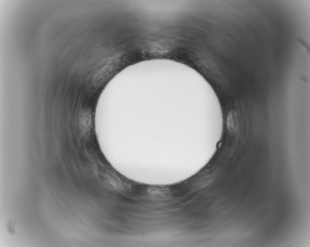 X0000102301299200808152008
