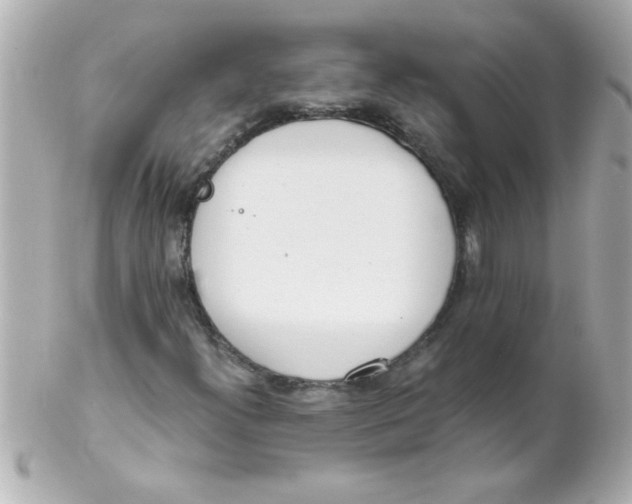 X0000102301300200808152008