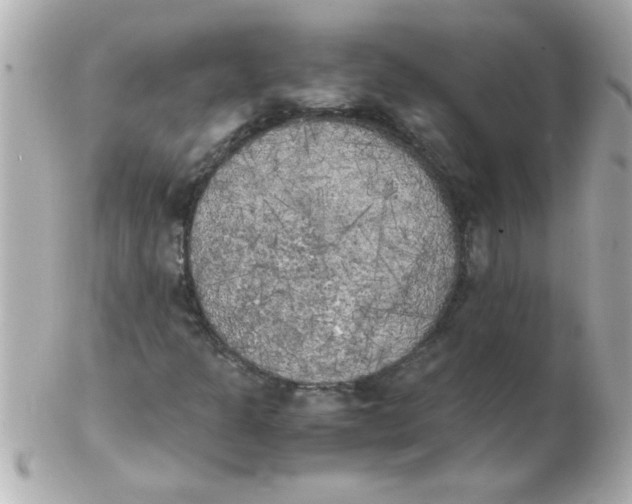 X0000102301301200808152008