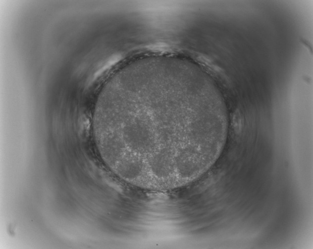 X0000102301302200808152008
