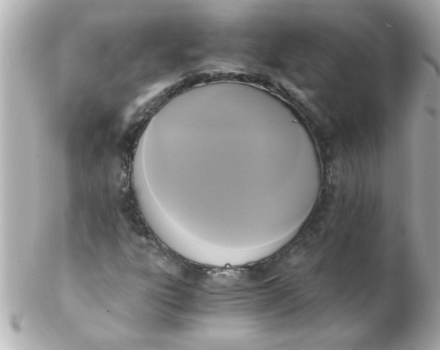 X0000102301303200808152008