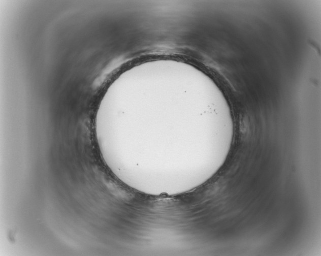 X0000102301304200808152008