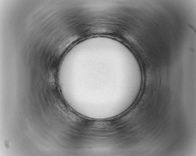 X0000102301305200808152008