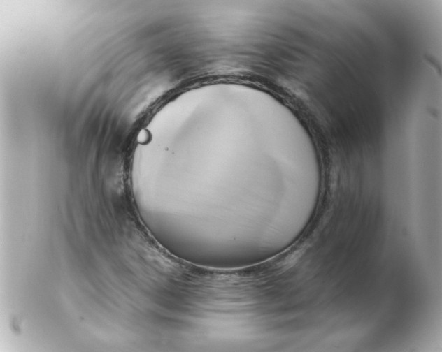 X0000102301306200808152008