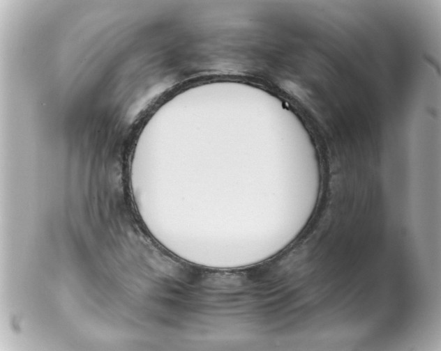 X0000102301307200808152008