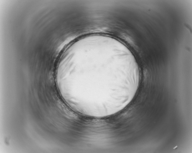 X0000102301308200808152008