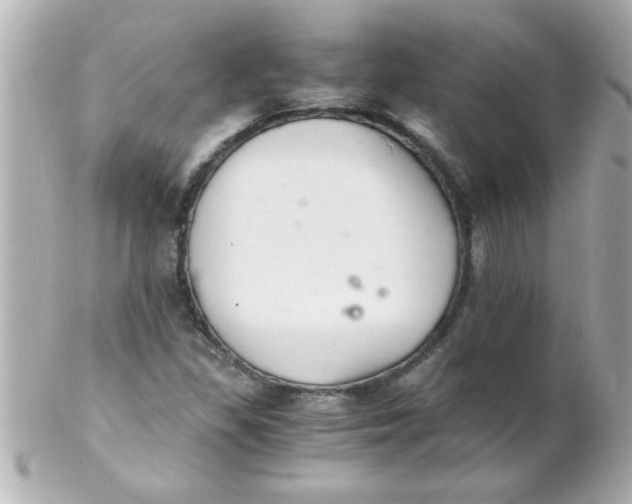 X0000102301309200808152008