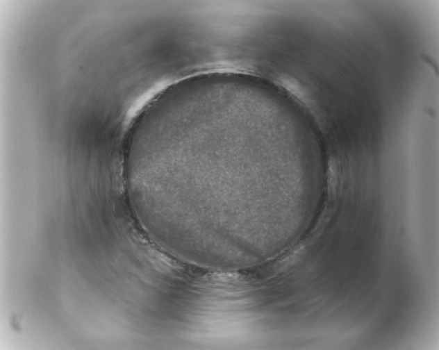 X0000102301310200808152008