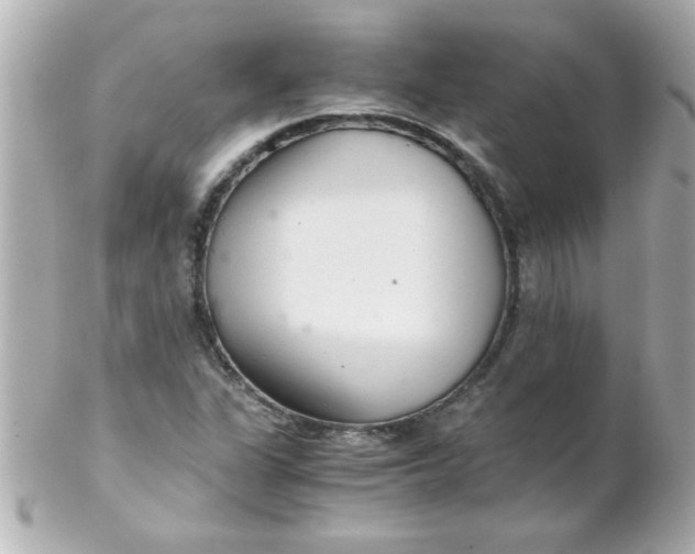 X0000102301311200808152008