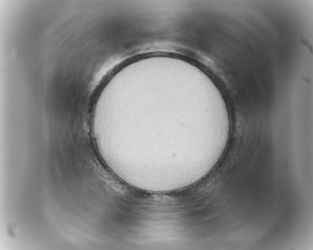 X0000102301312200808152008