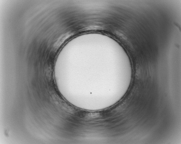 X0000102301313200808152008