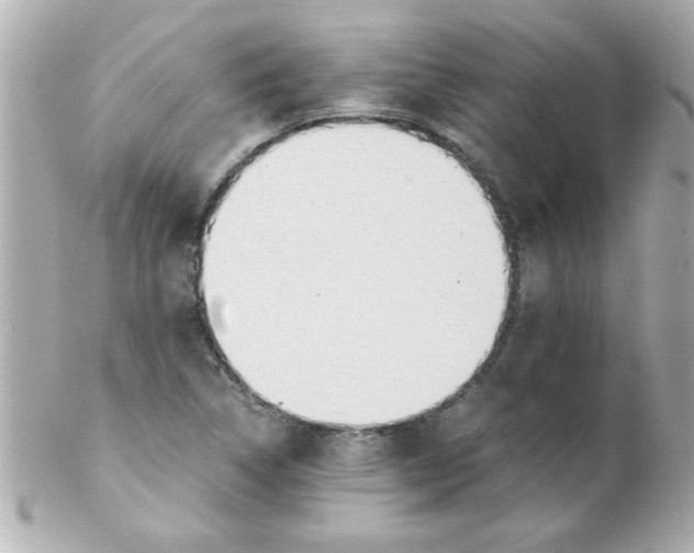 X0000102301314200808152008