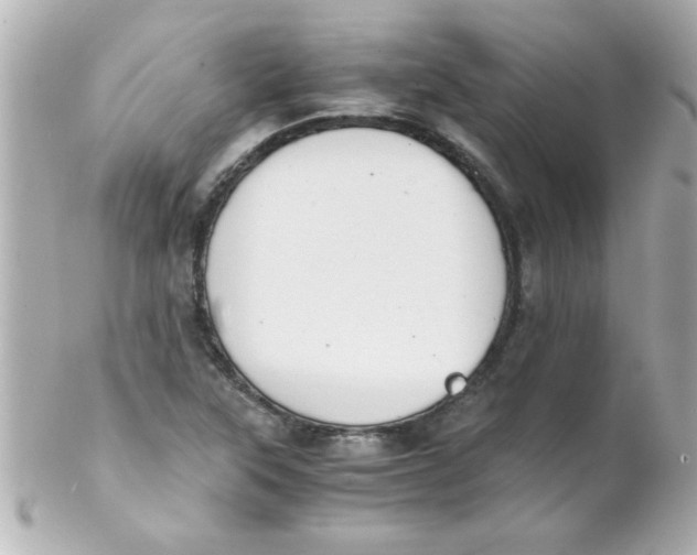 X0000102301315200808152008