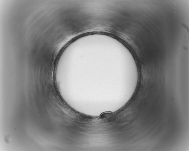 X0000102301316200808152008